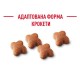 Royal Canin Jack Russel Puppy Сухой корм для щенков