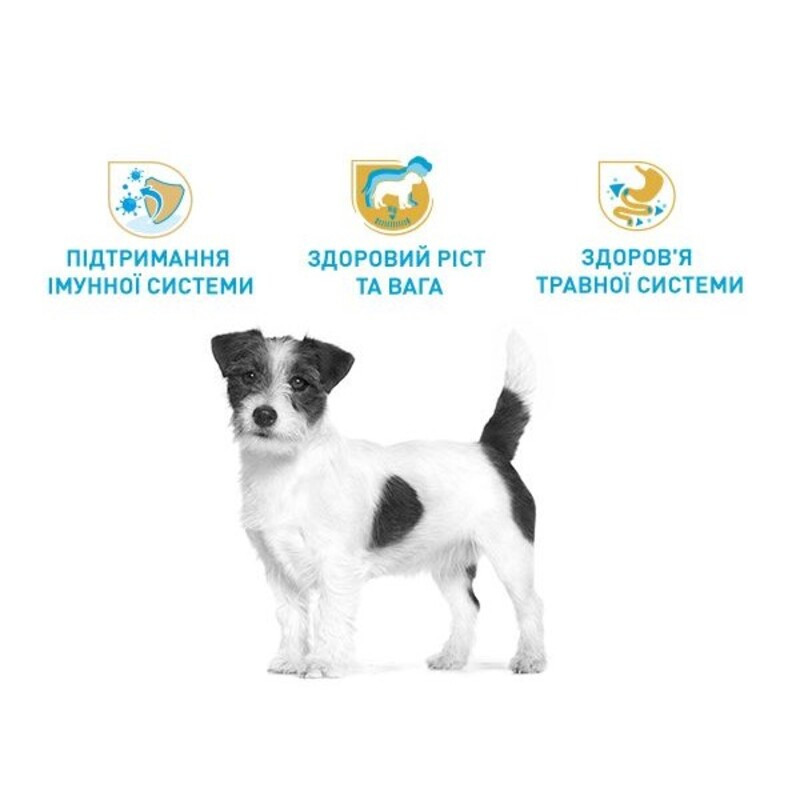 Royal Canin Jack Russel Puppy Сухой корм для щенков