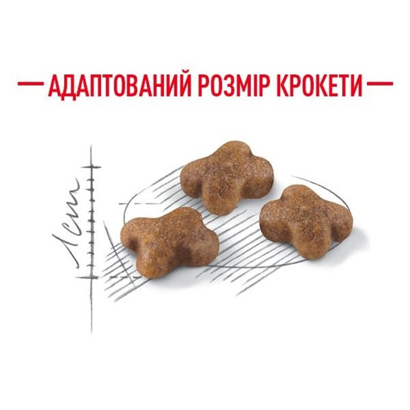 Royal Canin Kitten Сухой корм для котят