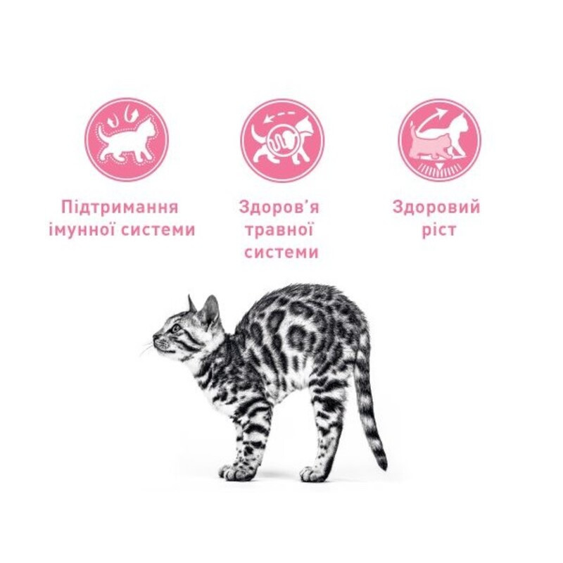 Royal Canin Kitten Сухой корм для котят