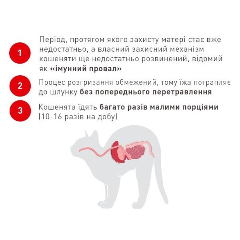 Royal Canin Kitten Сухой корм для котят
