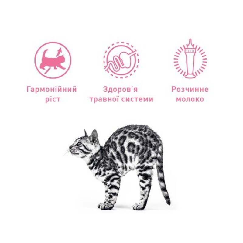 Royal Canin Babycat Milk Заменитель кошачьего молока для котят