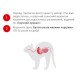 Royal Canin Babycat Milk Заменитель кошачьего молока для котят