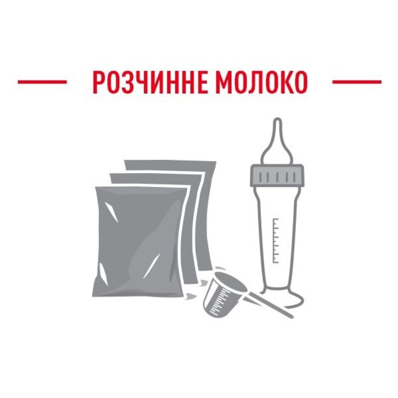 Royal Canin Babycat Milk Заменитель кошачьего молока для котят