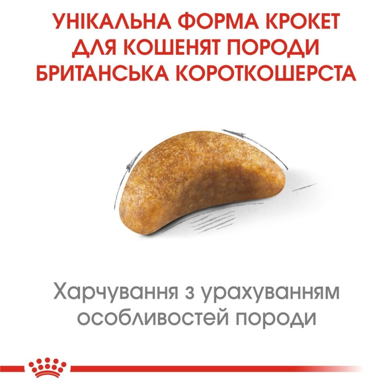 Royal Canin Kitten British Shorthair Сухой корм для котят
