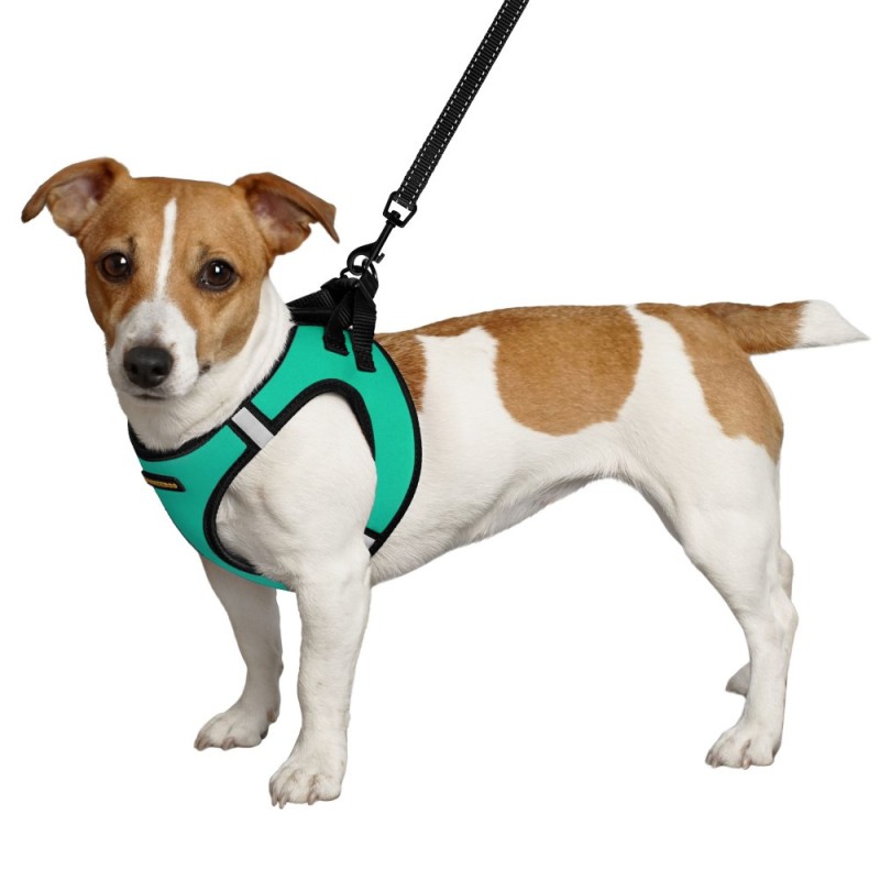 Bronzedog Sport Vest Шлея для собак неопрен 3D сетка ментоловый