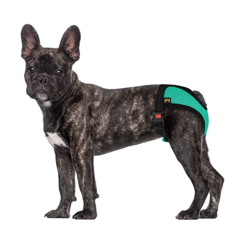 Bronzedog Mesh Трусы гигиенические регулируемые 3D сетка ментоловые
