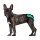 Bronzedog Mesh Трусы гигиенические регулируемые 3D сетка ментоловые