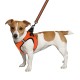 Bronzedog Mesh Vest Шлей для собак 3D сітка помаранчева
