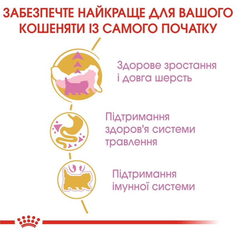 Royal Canin Kitten Persian Сухой корм для котят