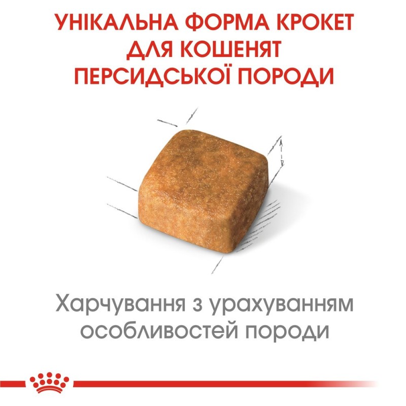 Royal Canin Kitten Persian Сухой корм для котят