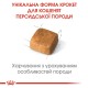 Royal Canin Kitten Persian Сухой корм для котят