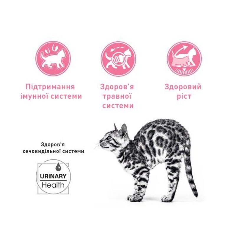 Royal Canin Kitten Sterilised Сухой корм для стерилизованных котят