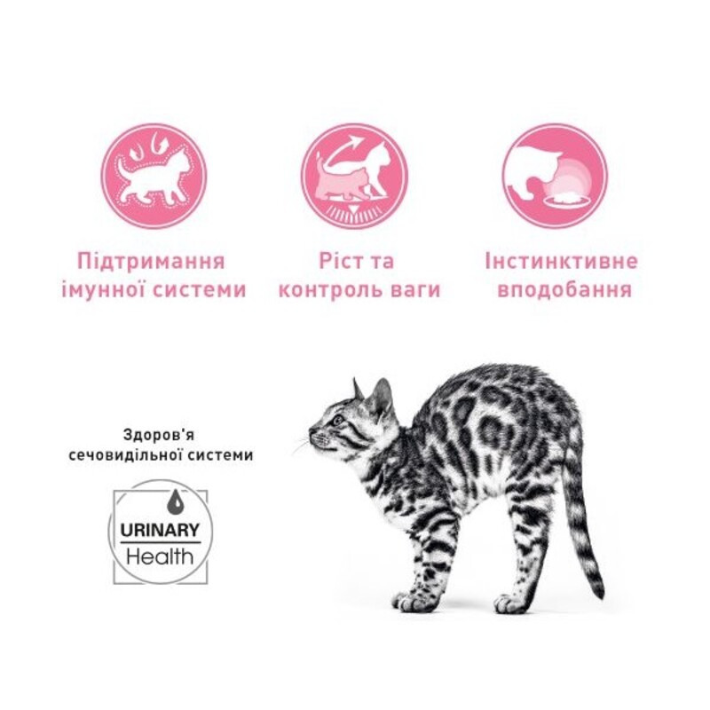 Royal Canin Kitten Sterilised Консервы для стерилизованных котят