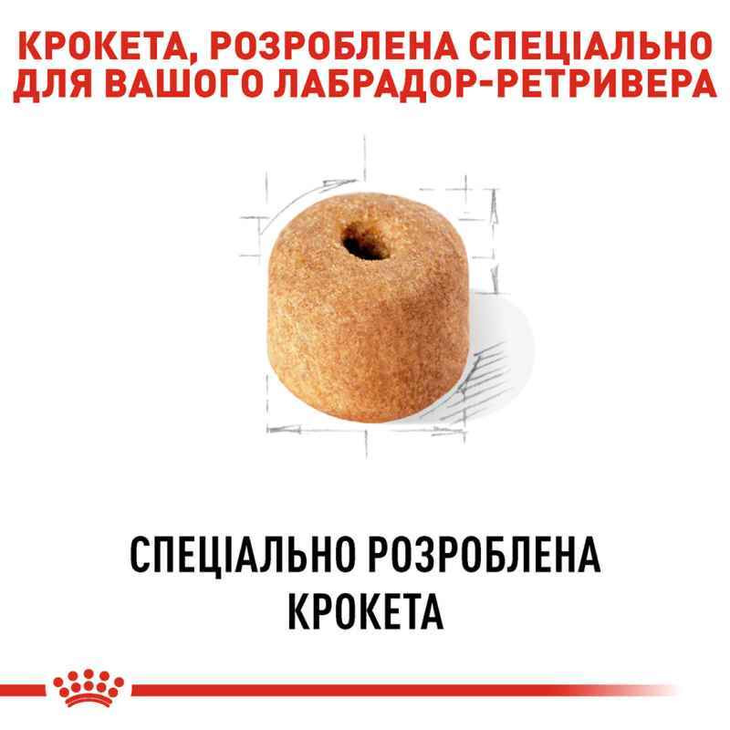 Royal Canin Labrador Adult Сухой корм для собак