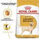 Royal Canin Labrador Adult Сухой корм для собак