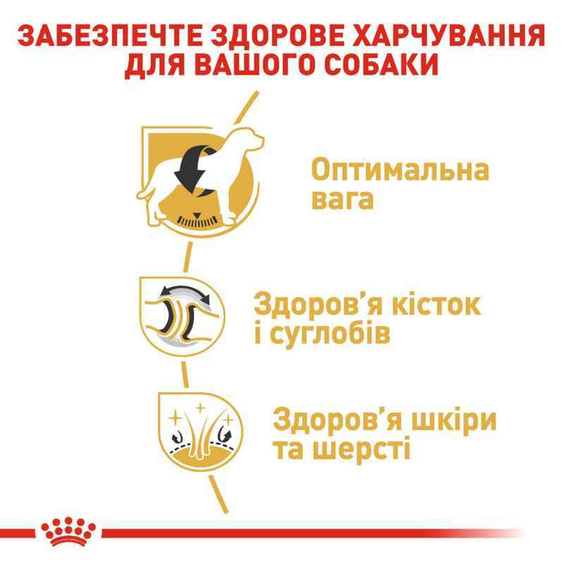 Royal Canin Labrador Adult Сухой корм для собак