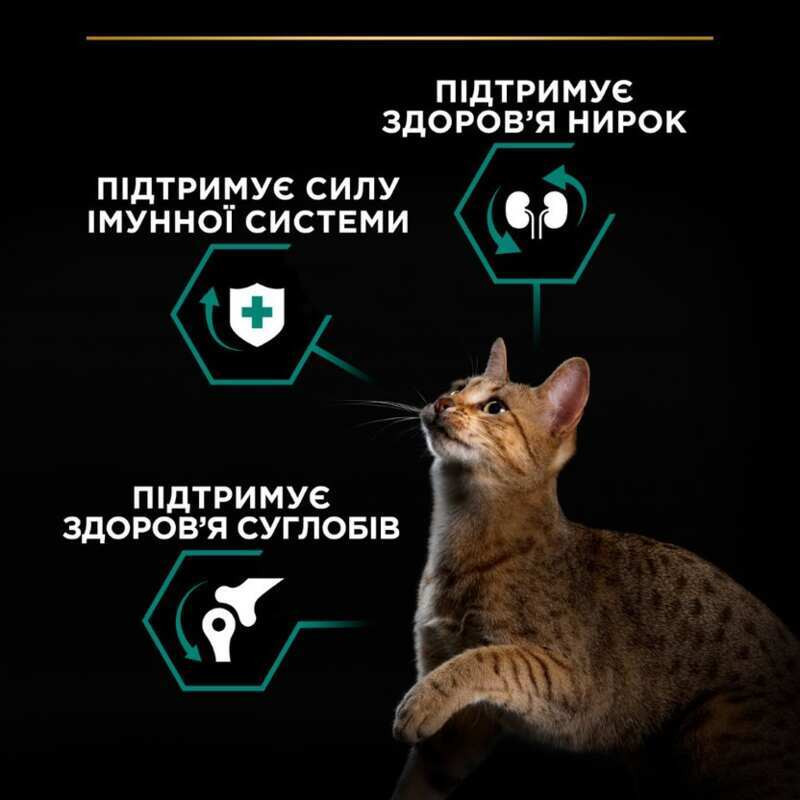 Pro Plan Adult Renal Plus Chicken Сухой корм для взрослых кошек с курицей
