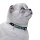 Bronzedog Urban Ошейник для кошек леопард