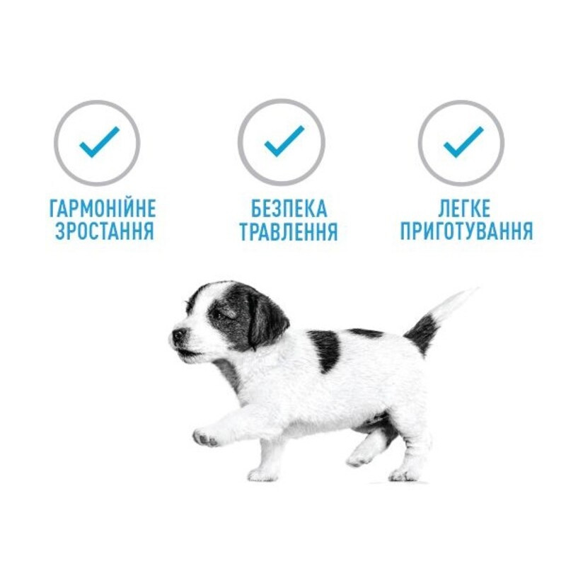 Royal Canin Babydog Milk Заменитель молока для щенков с рождения до отъема
