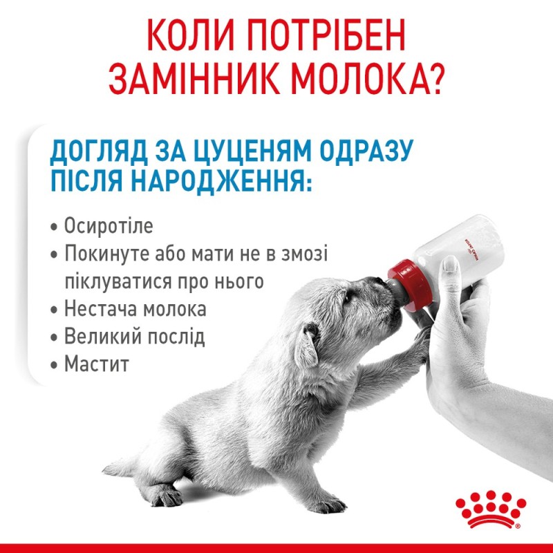 Royal Canin Babydog Milk Заменитель молока для щенков с рождения до отъема