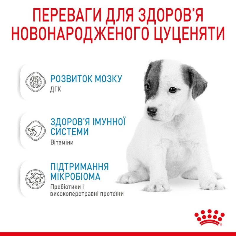 Royal Canin Babydog Milk Заменитель молока для щенков с рождения до отъема