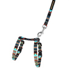 Bronzedog Urban Шлея с поводком для кошек и мелких собак ацтеки