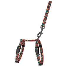 Bronzedog Urban ART Шлея с поводком для кошек и мелких собак витраж