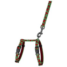 Bronzedog Urban FRUITS Шлея с поводком для кошек и мелких собак арбуз