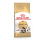 Royal Canin Mainecoon Adult Сухой корм для взрослых кошек