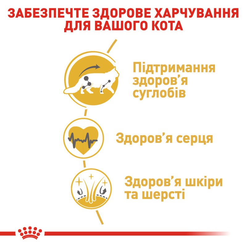 Royal Canin Mainecoon Adult Сухой корм для взрослых кошек