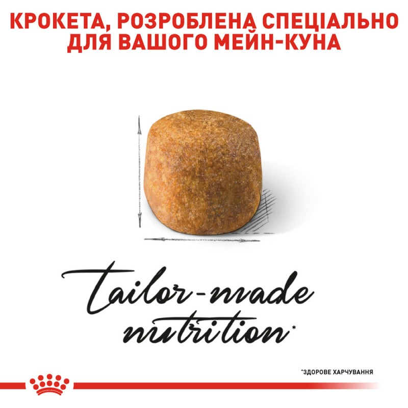 Royal Canin Mainecoon Adult Сухой корм для взрослых кошек