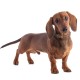 Bronzedog Classic Ошейник для собак волна фиолетовый