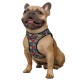 Bronzedog Sport Vest Шлея для собак витраж