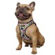 Bronzedog Sport Vest Шлея для собак геометрия