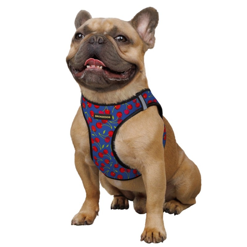 Bronzedog Sport Vest Шлея для собак вишни