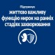 Hills Prescription Diet Canine k/d Kidney Care Early Stage Лечебный корм для взрослых собак при заболеваниях почек