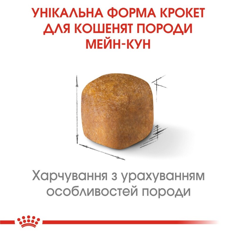 Royal Canin Mainecoon Kitten Сухой корм для котят