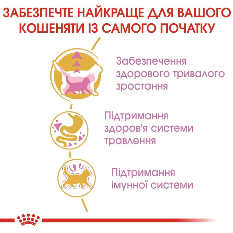 Royal Canin Mainecoon Kitten Сухой корм для котят