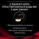 Pro Plan Veterinary Diets DM Diabets Лечебные консервы для кошек при сахарном диабете