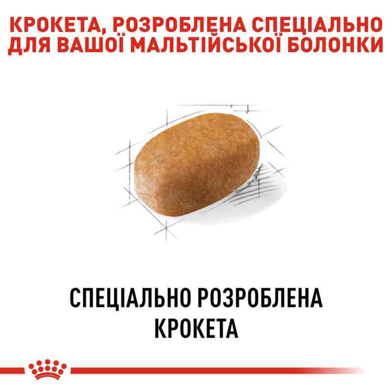 Royal Canin Maltese Adult Сухой корм для собак