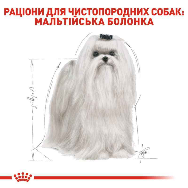 Royal Canin Maltese Adult Сухой корм для собак