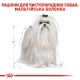 Royal Canin Maltese Adult Сухой корм для собак