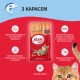 Мяу Сухий корм для дорослих кішок з карасем