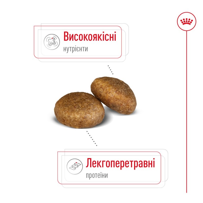 Royal Canin Maxi Adult Сухой корм для собак