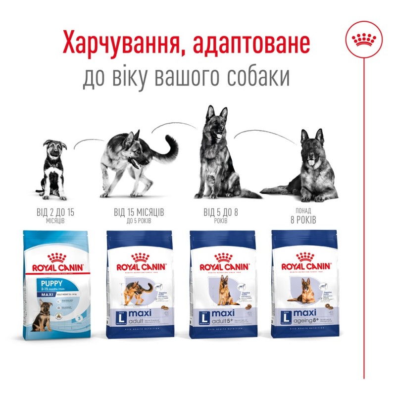 Royal Canin Maxi Adult Сухой корм для собак