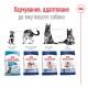 Royal Canin Maxi Adult Сухой корм для собак