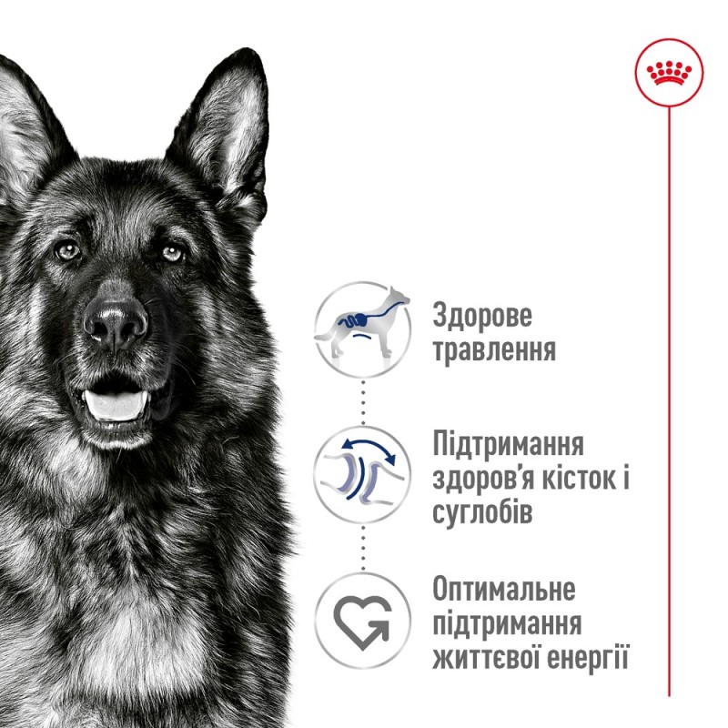 Royal Canin Maxi Adult Сухой корм для собак