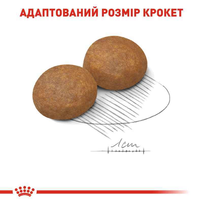 Royal Canin Maxi Adult 5+ Сухой корм для собак