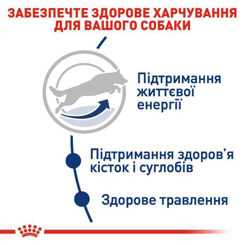 Royal Canin Maxi Adult 5+ Сухой корм для собак